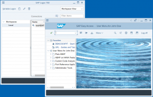 SAP Login