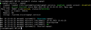 systemctl status sapnpl output